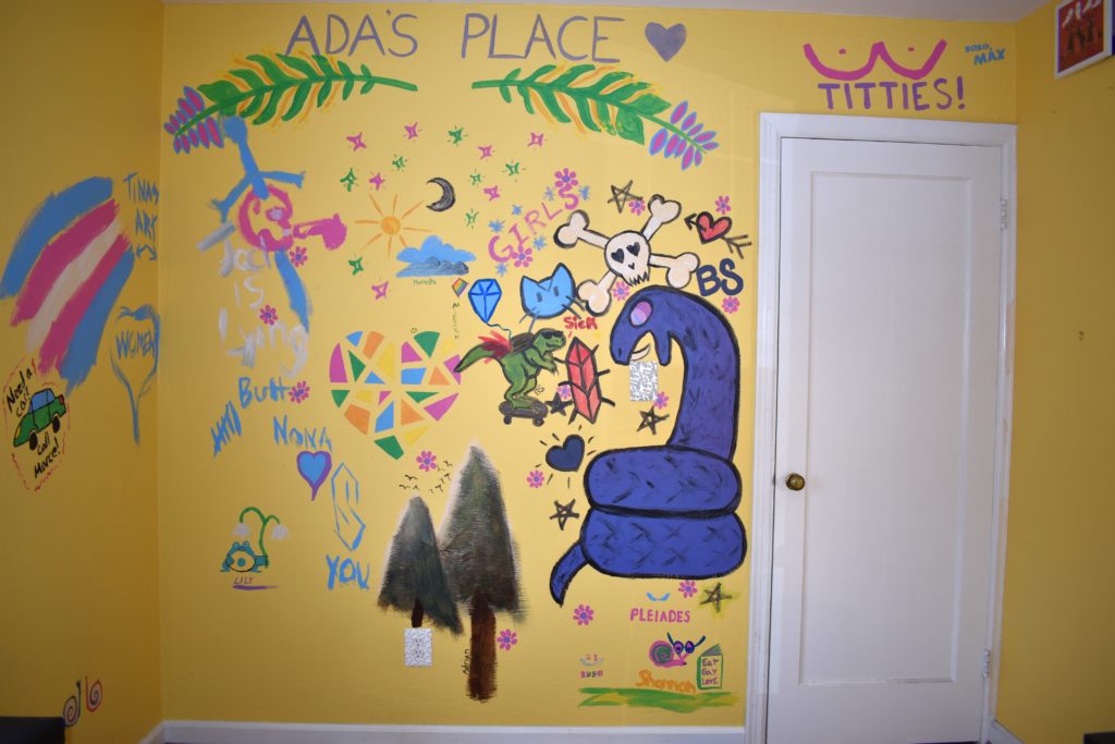 Photo of painted mural inside Ada's house in Columbus, OH. Includes a large snake, trans flag, trees, flowers, and "titties".