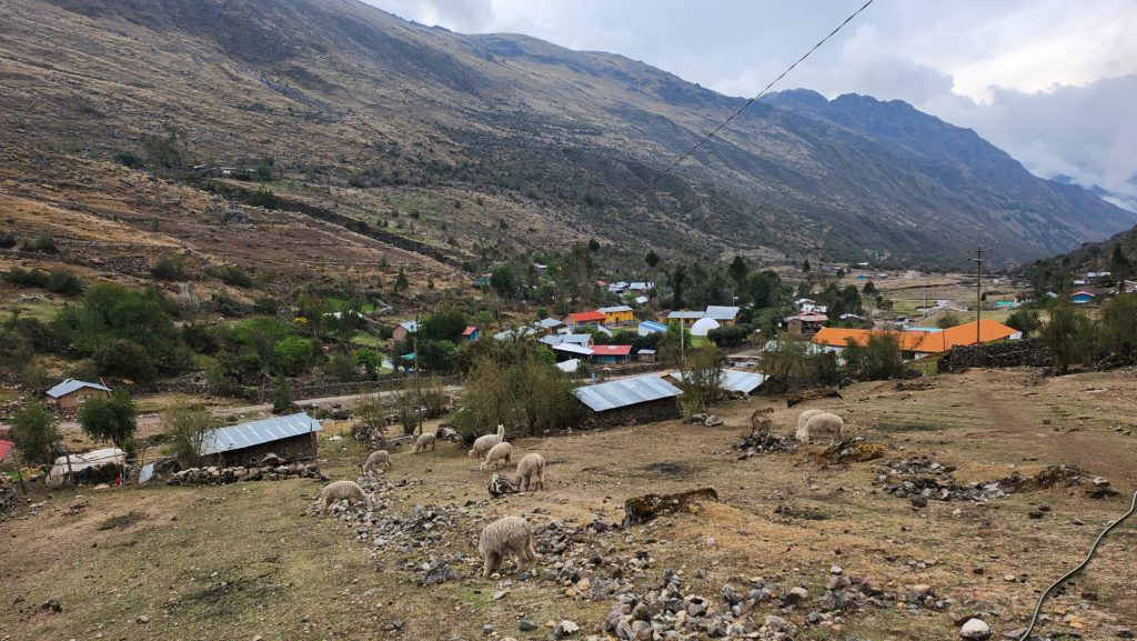 Photo of Cuncani village in Peru. Small houses and trees are scattered around a small mountain valley. Alpacas graze in the foreground.