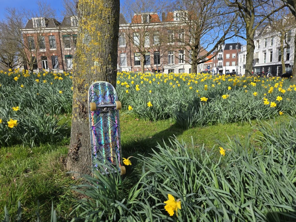 Photo of a skateboard resting against a tree, surrounded by blooming daffodils, with brick apartment buildings in the background.