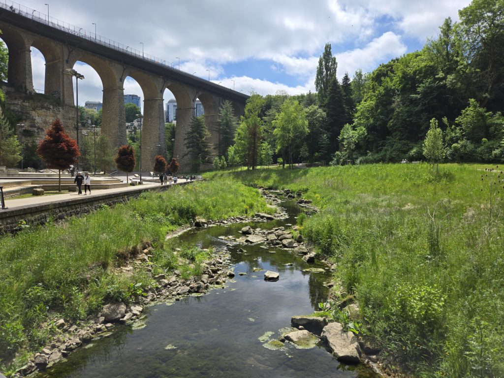 Photo of a stream running through the Petrusse Valley in Luxembourg, surrounded by grass and trees, with a large high stone bridge in the background.