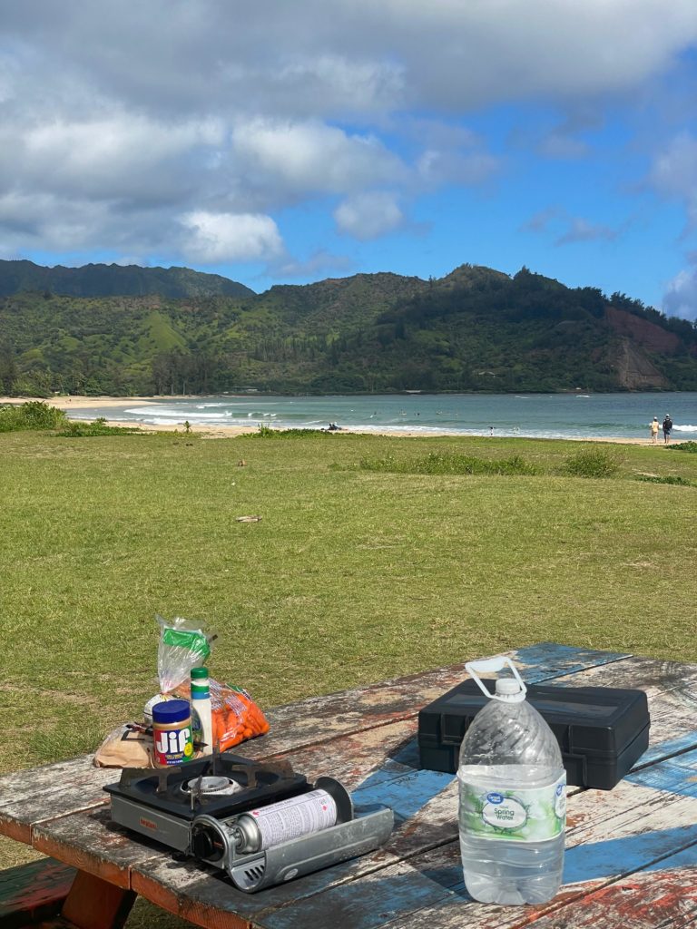 Photo of a picnic table on a grassy beachfront. There is a gas cooktop, water jug, and some breakfast food beside it.